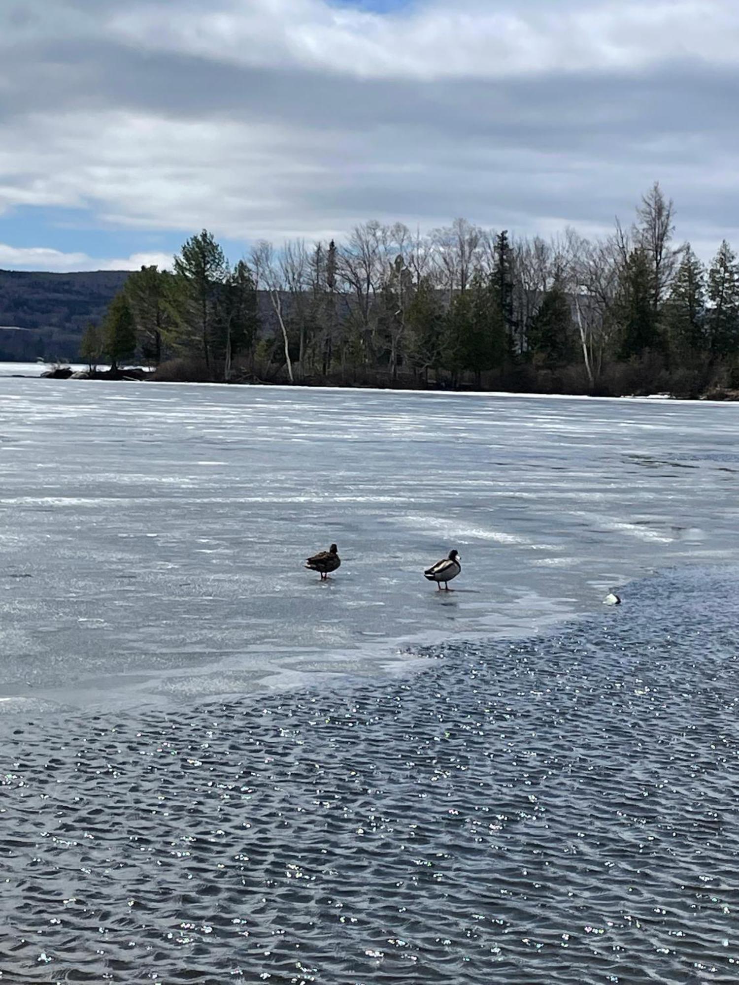 Rangeley Town & Lake Exterior foto
